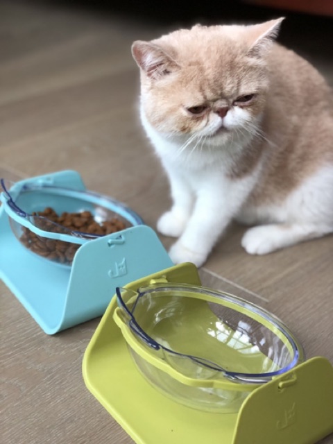 Bát ăn nghiêng chống gù lưng cho chó mèo