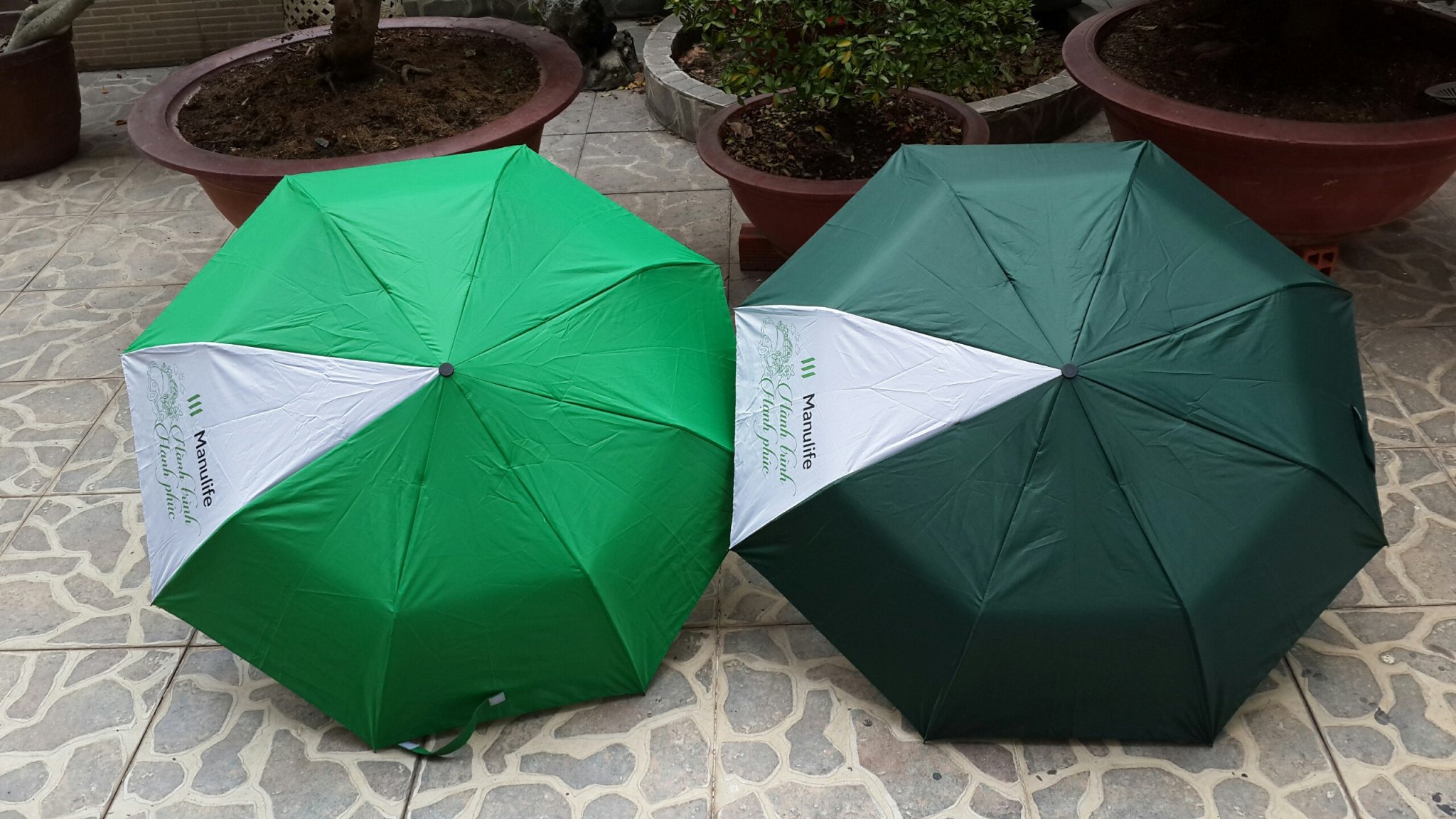 Ô/Dù gấp 3 (quà tặng Manulife)