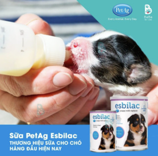 Sữa pha sẵn cho chó Esbilac Liquid 325ml