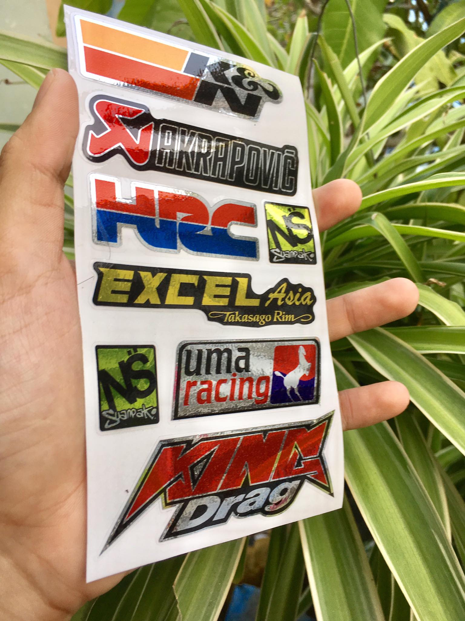 [HCM]TEM LOGO SI CROM KING DRAG KN AKAPOVIC