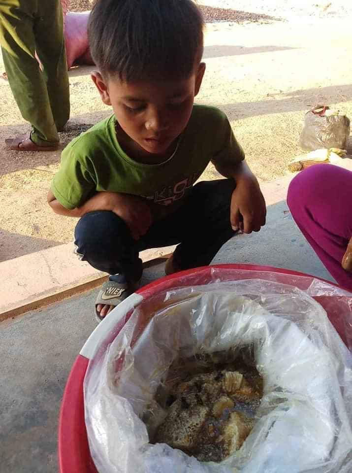 MẬT ONG RỪNG NGUYÊN CHẤT (RỪNG QUỐC GIA KONKAKING GIA LAI)