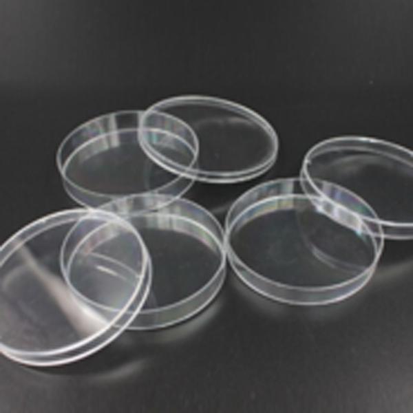 Đĩa petri thủy tinh Phi 15cm