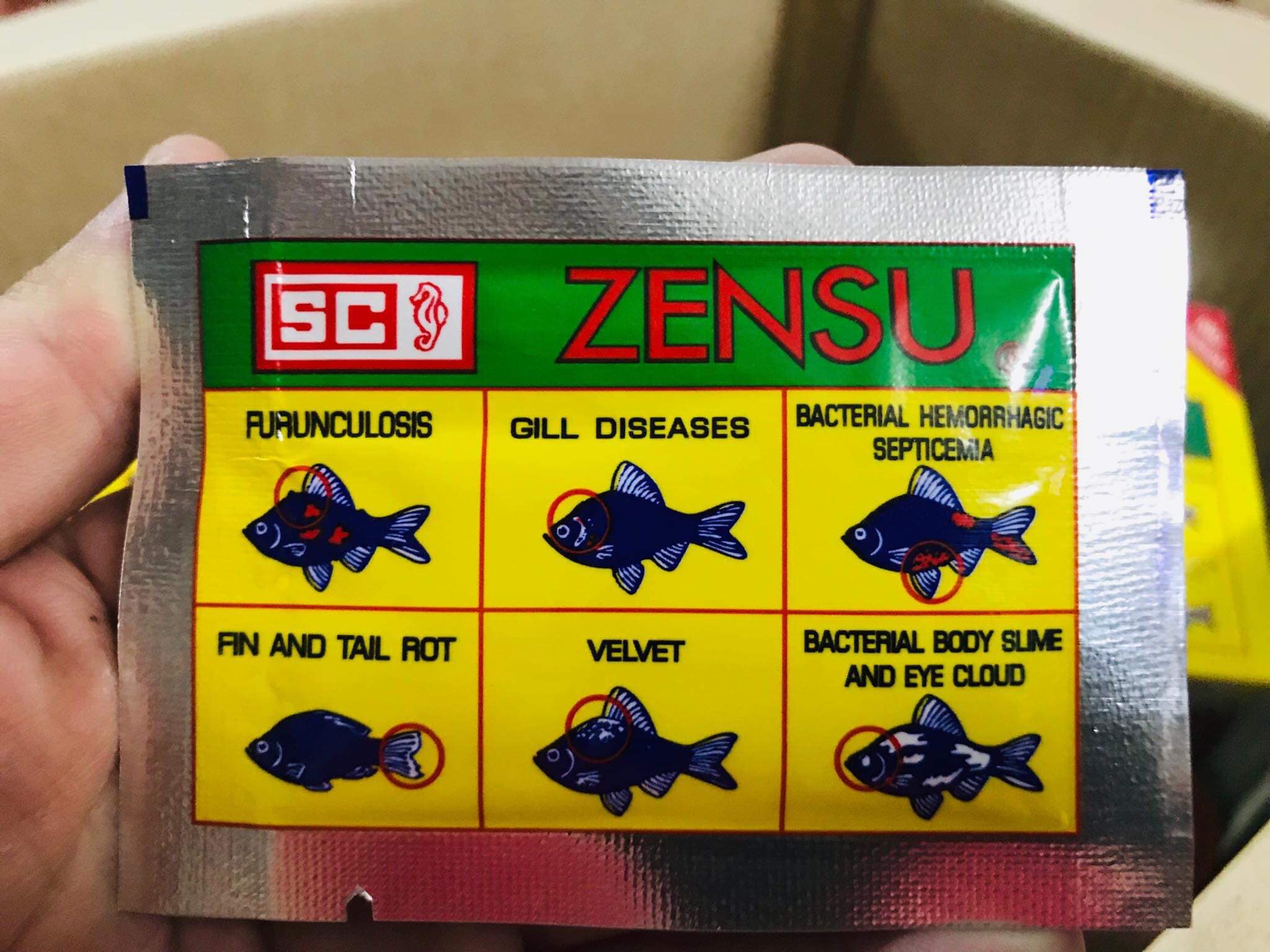 [HCM]BỘT ZENSU - DƯỠNG  CHO CÁ BETTA - Thần dược cho Betta sung khỏe 5gr