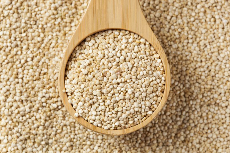 Hạt diêm mạch Quinoa - Thức ăn hamster