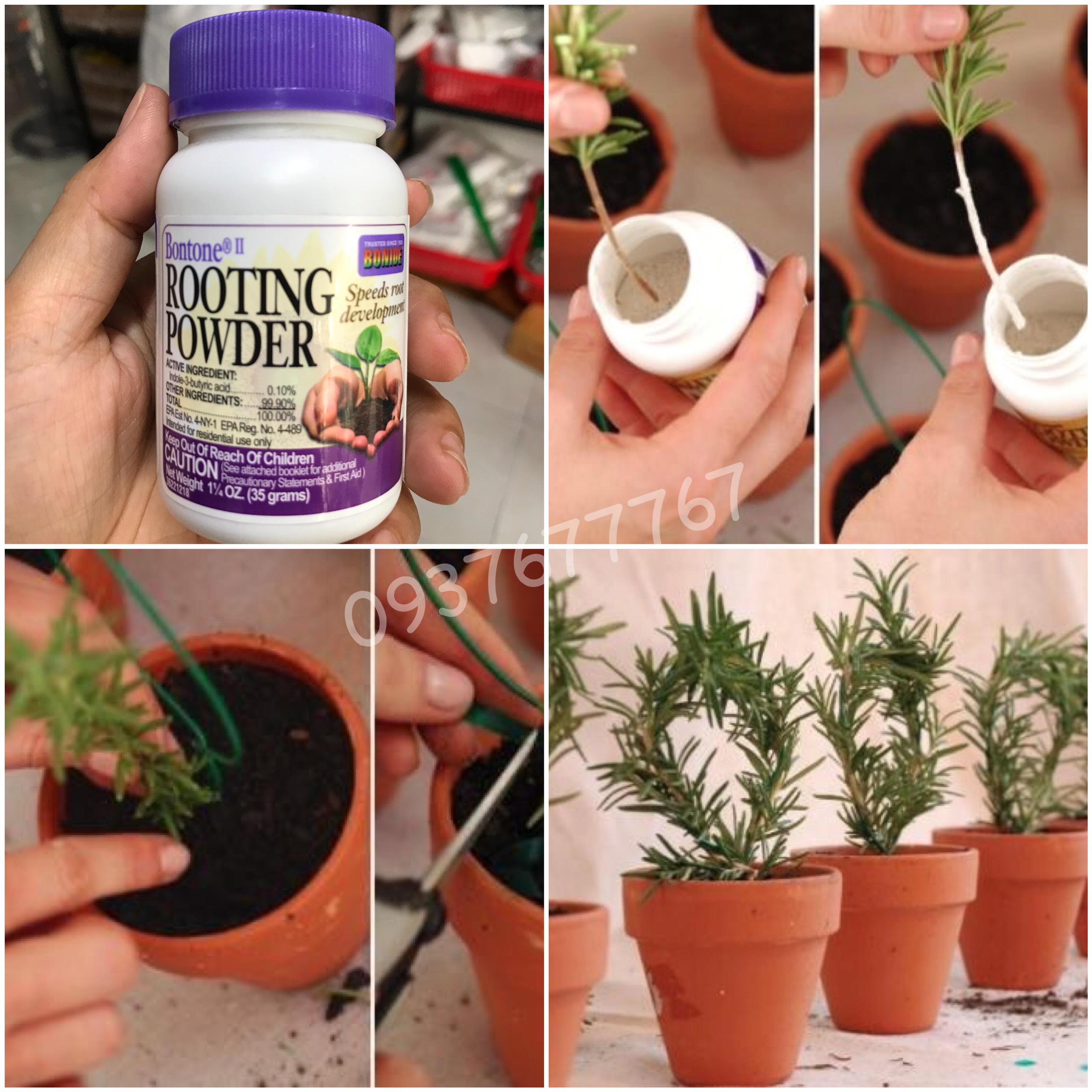bột rooting powder usa 35g hỗ trợ ra rễ cho giâm cành chiết cành cây trồng