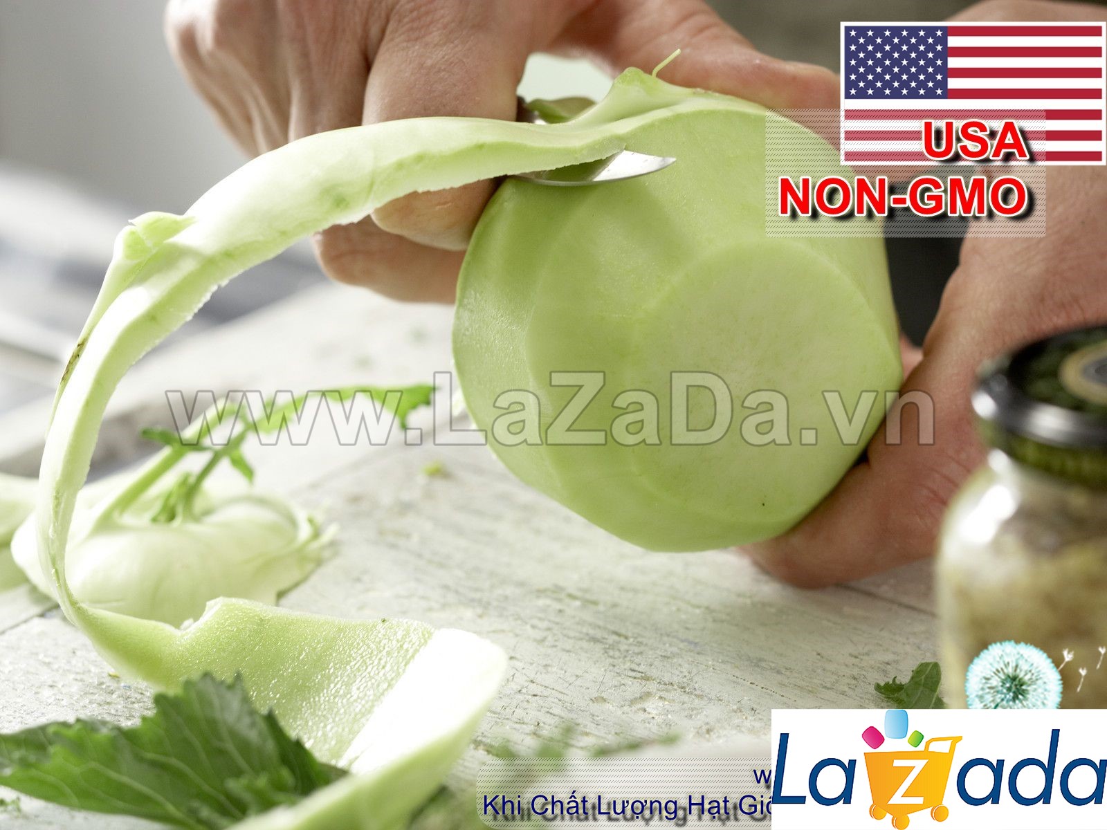 100GR 20K.HẠT Hạt Giống Su Hào Trắng USA (| B30*W31)