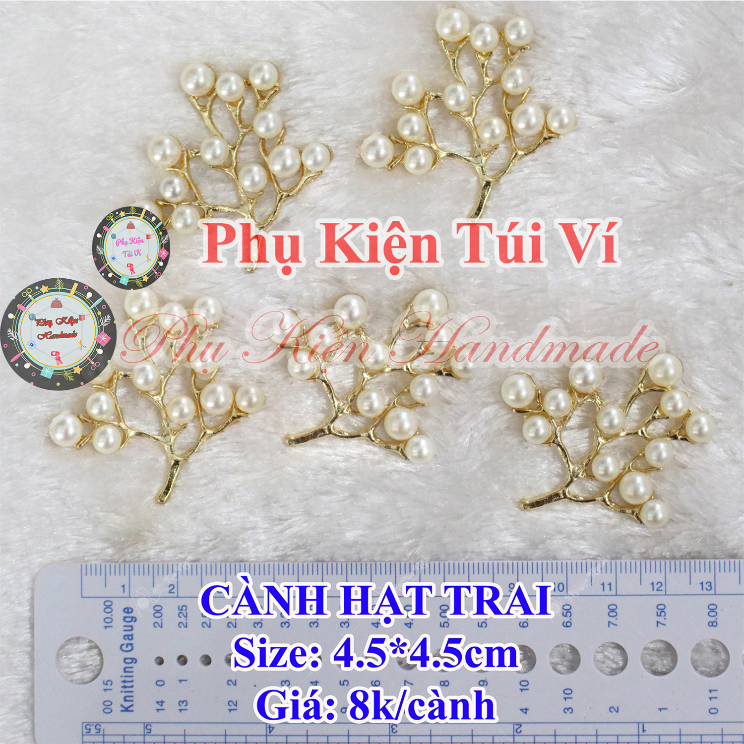 Cành Hạt Trai (15k/cành) trang trí handmade