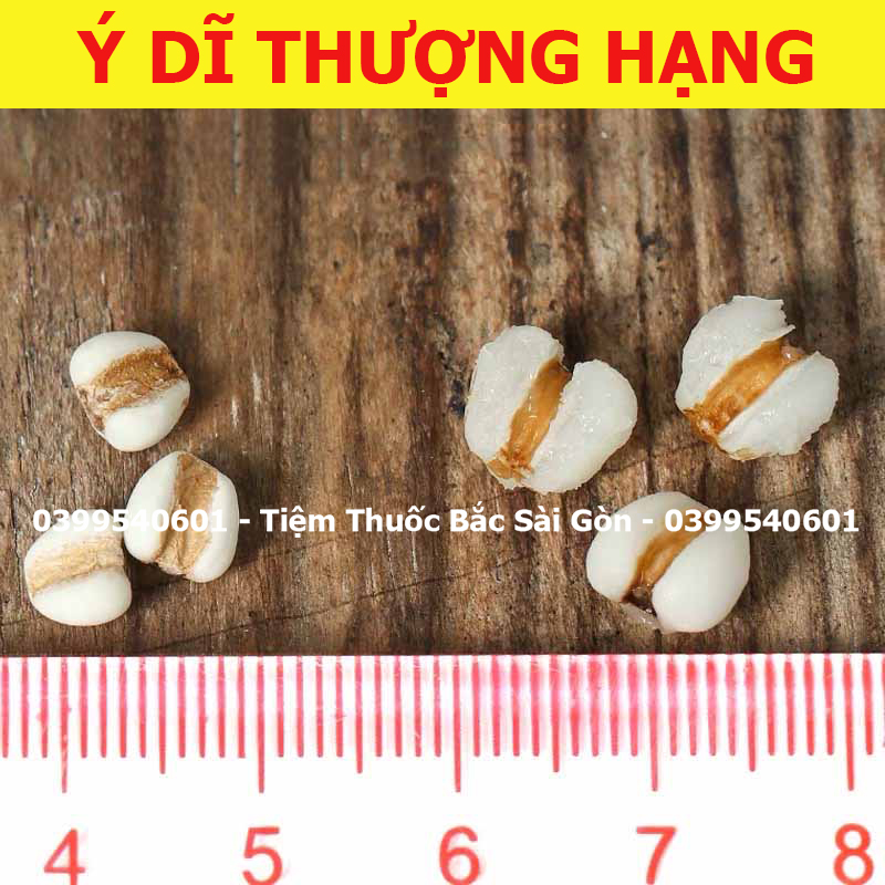 Ý Dĩ Nếp túi 100g
