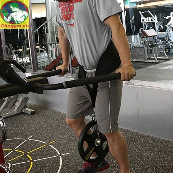 Đai Lưng Có Xích Treo Tạ  Hỗ Trợ Squat, Pull Up, Dips FREESHIP