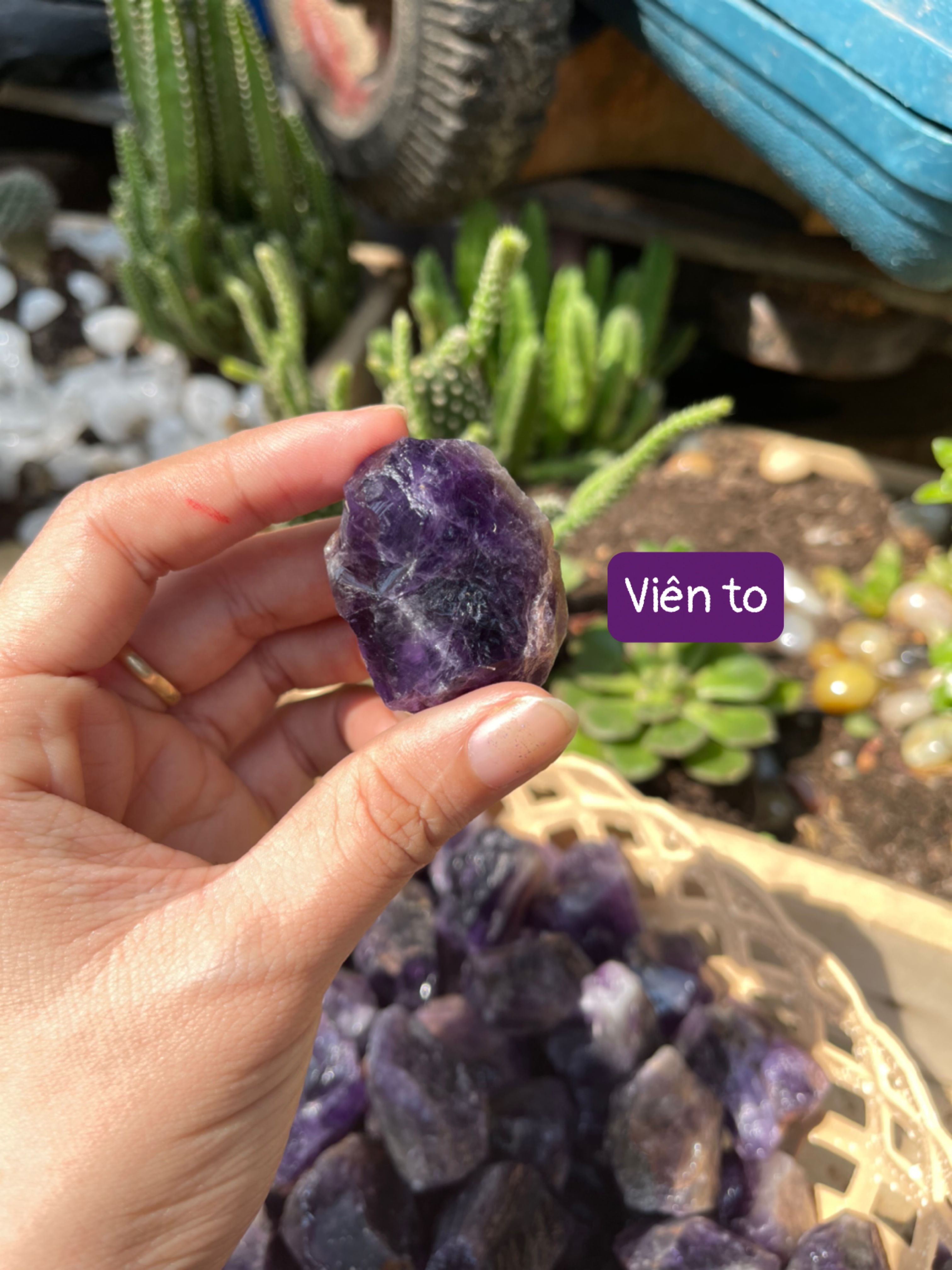 Thạch anh tím thô – raw amethyst | đá thanh tẩy, tarot, sưu tầm | cada decor