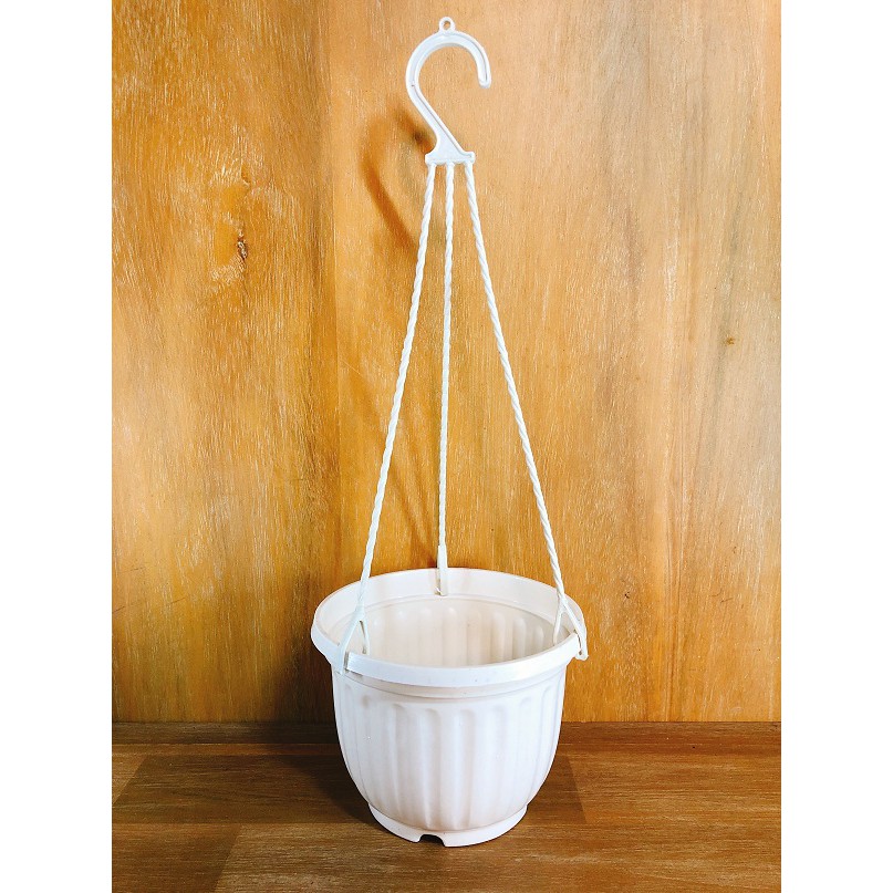 Chậu treo đường kính 20 cm