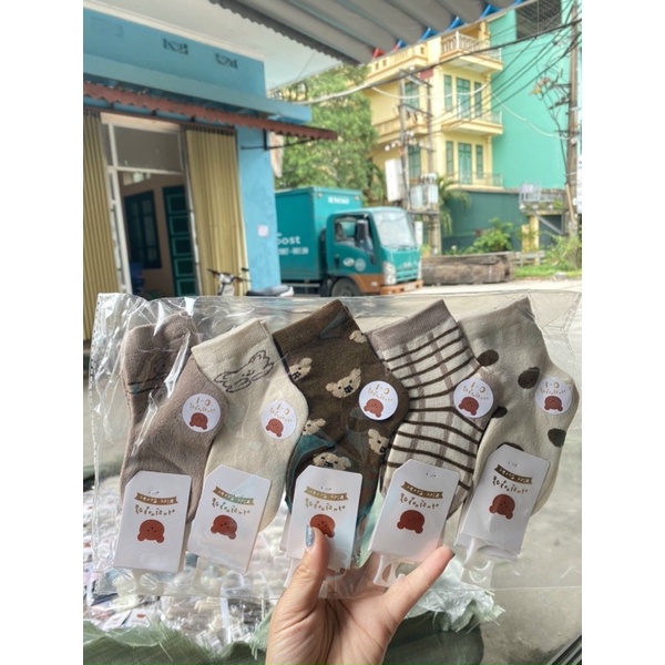 Combo 5 đôi tất nỉ họa tiết cho bé 3 tháng -2 tuổi