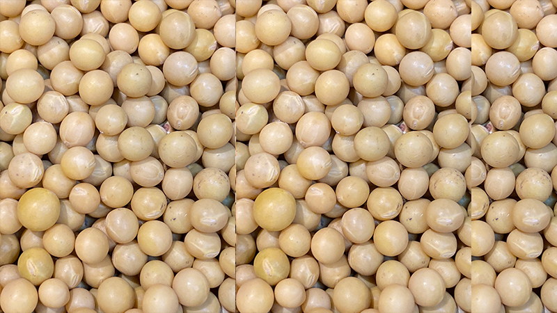 CJ Tương Trộn Ăn Liền Hàn Quốc 500G