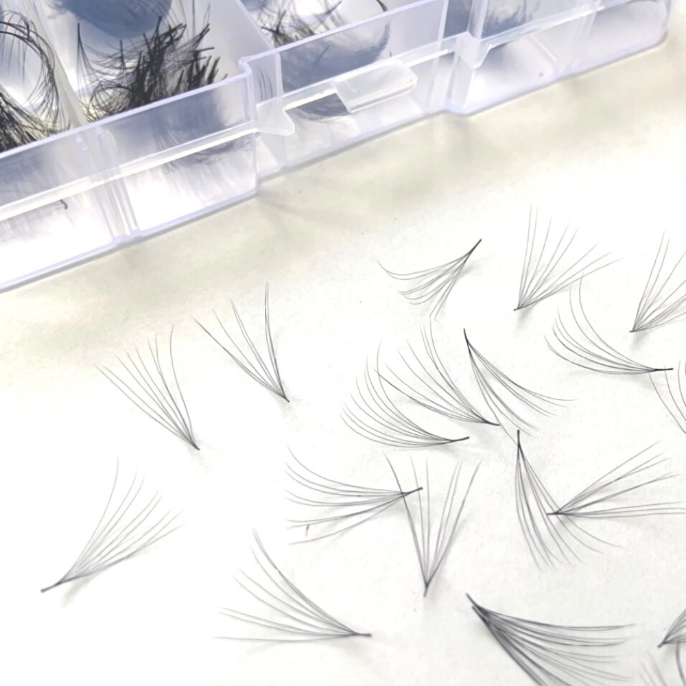 Mi FAN 8D C - D 005 MIX SIZE (9->13)mm (1000fan)_dụng cụ nối mi_THÚY HÀ
