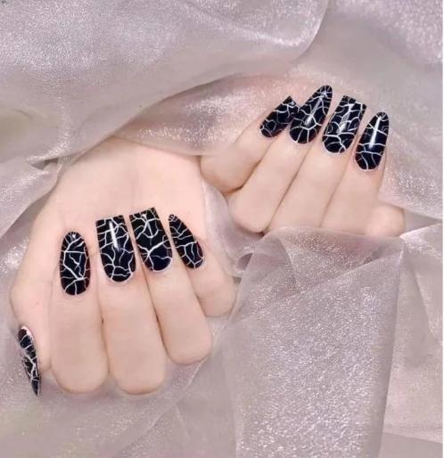 Sơn Gel Nứt B281 Cao Cấp , Sơn Nứt Trắng , Đen chai 15ml