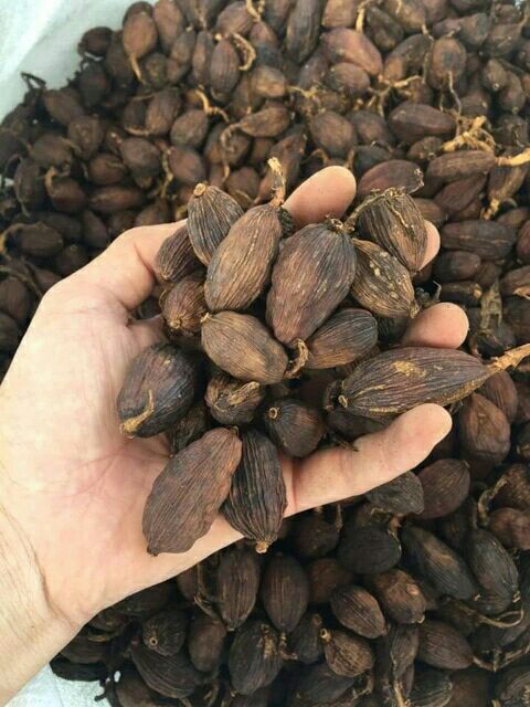 500g thảo quả khô