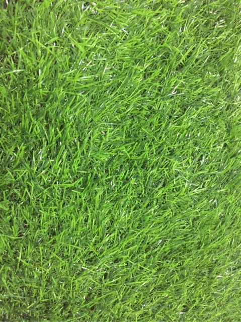 Thảm Cỏ Nhân Tạo Hàng chuẩn 2cm