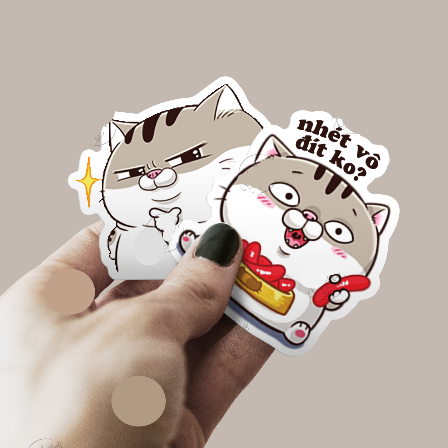 Set 30-80 Sticker Mèo Ami Mập Bụng Bự ảnh decal hình dán ép lụa