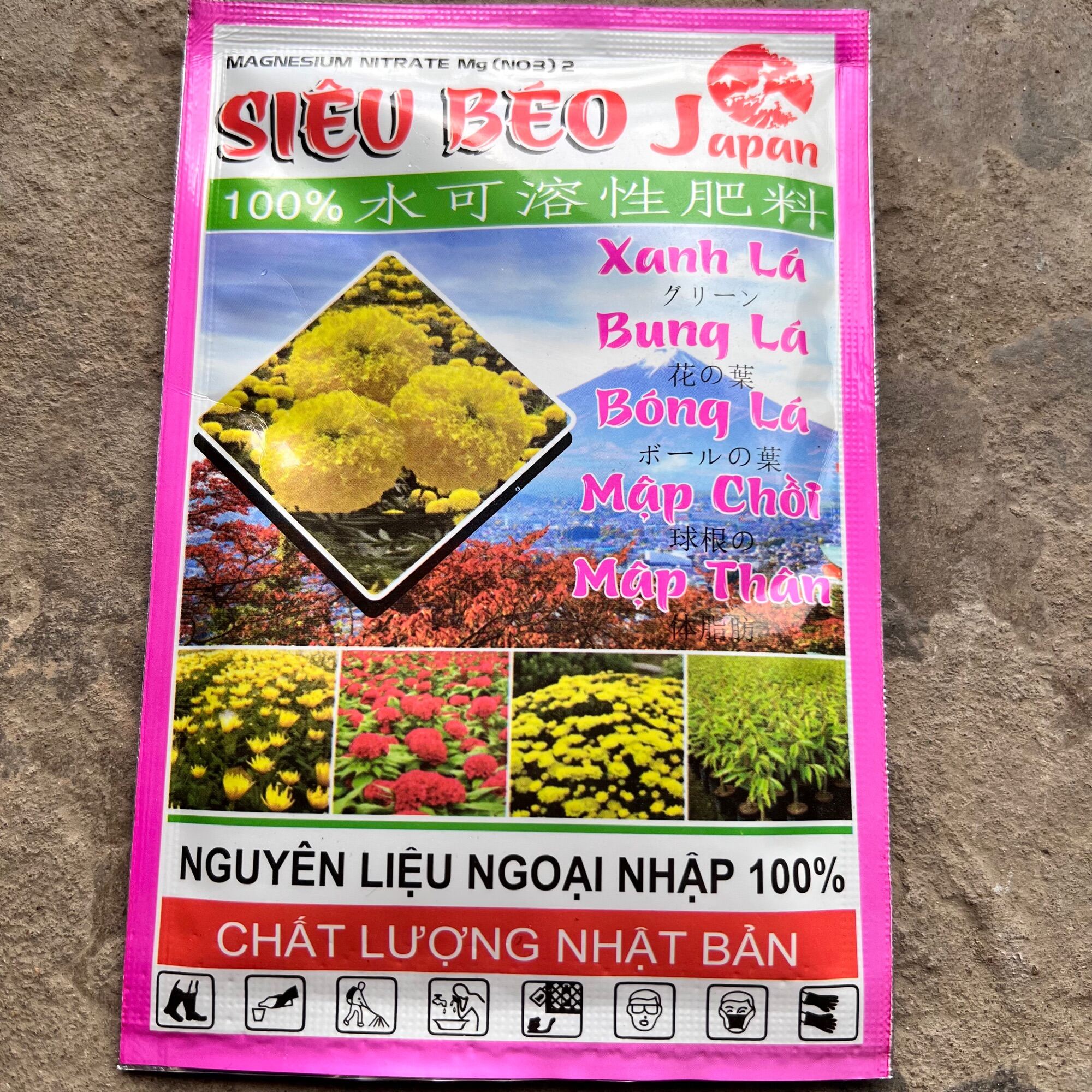 Mập chồi, mập thân, xanh lá, bung chồi, vọt đọt