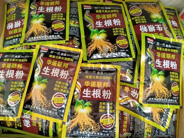 Kích rễ đặc biệt của Trung Quốc