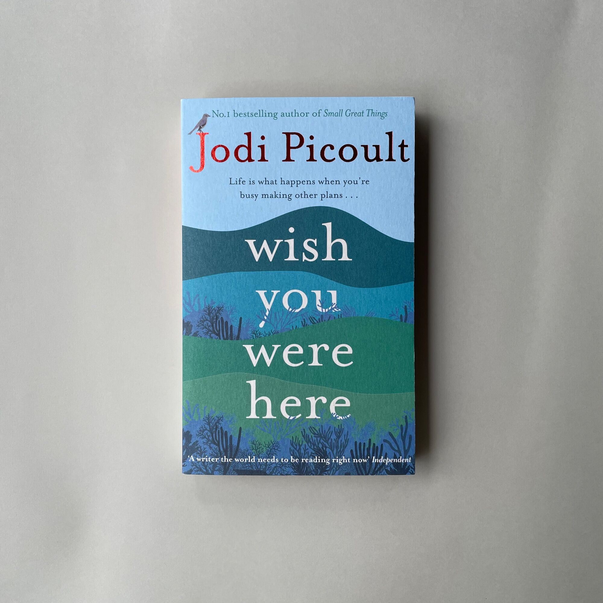 Wish You Were Here (Pocket size) - Jodi Picoult