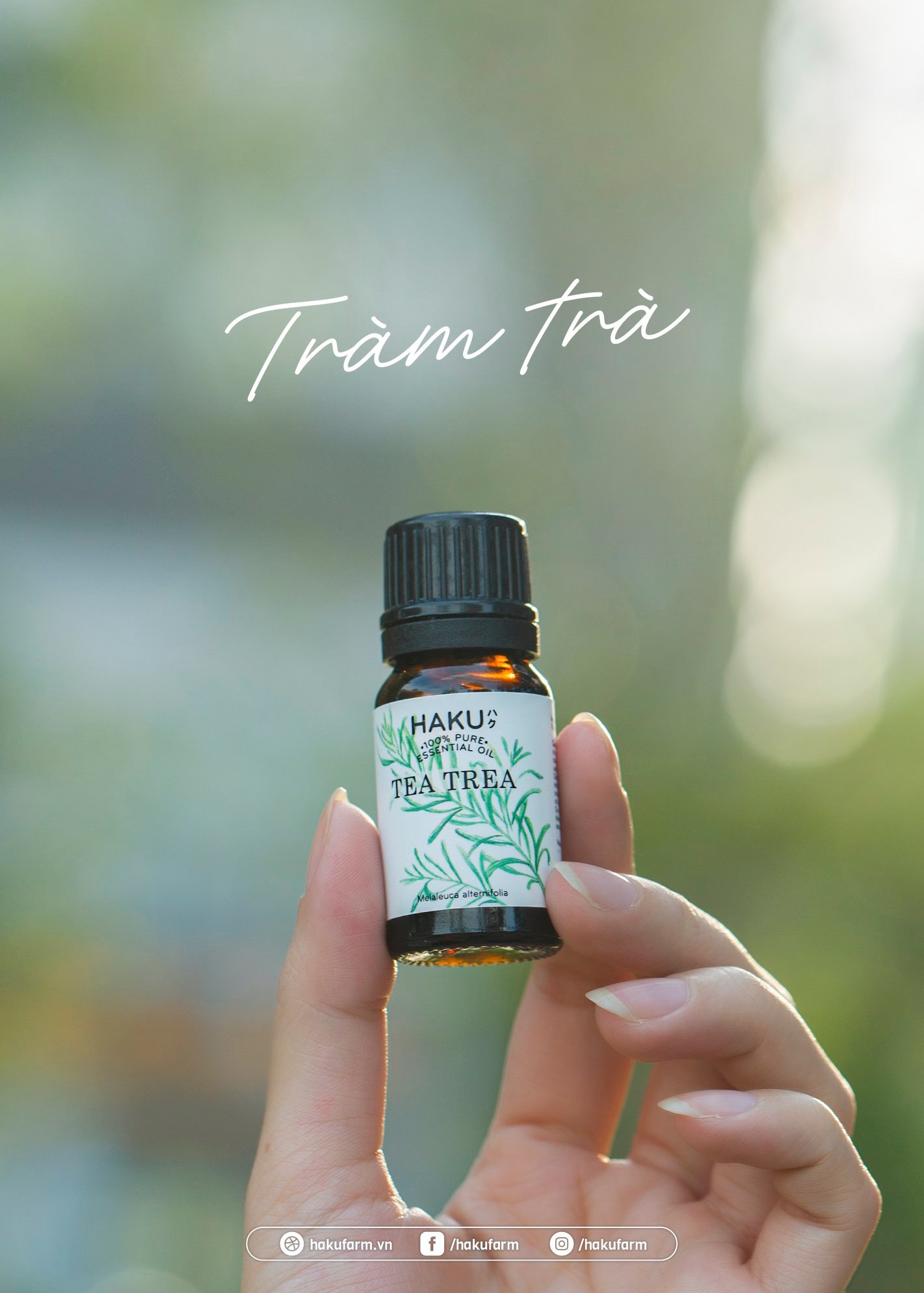Tea Tree Essential Oil