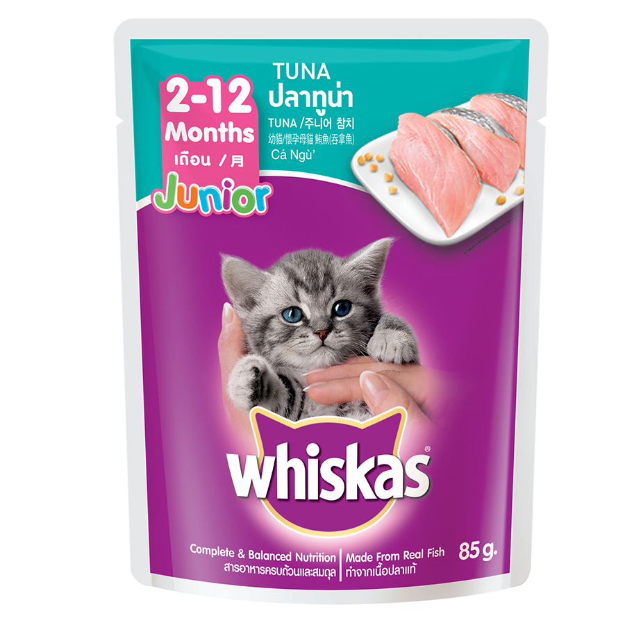 Pate Whiskas mèo con (Junior) - 85g