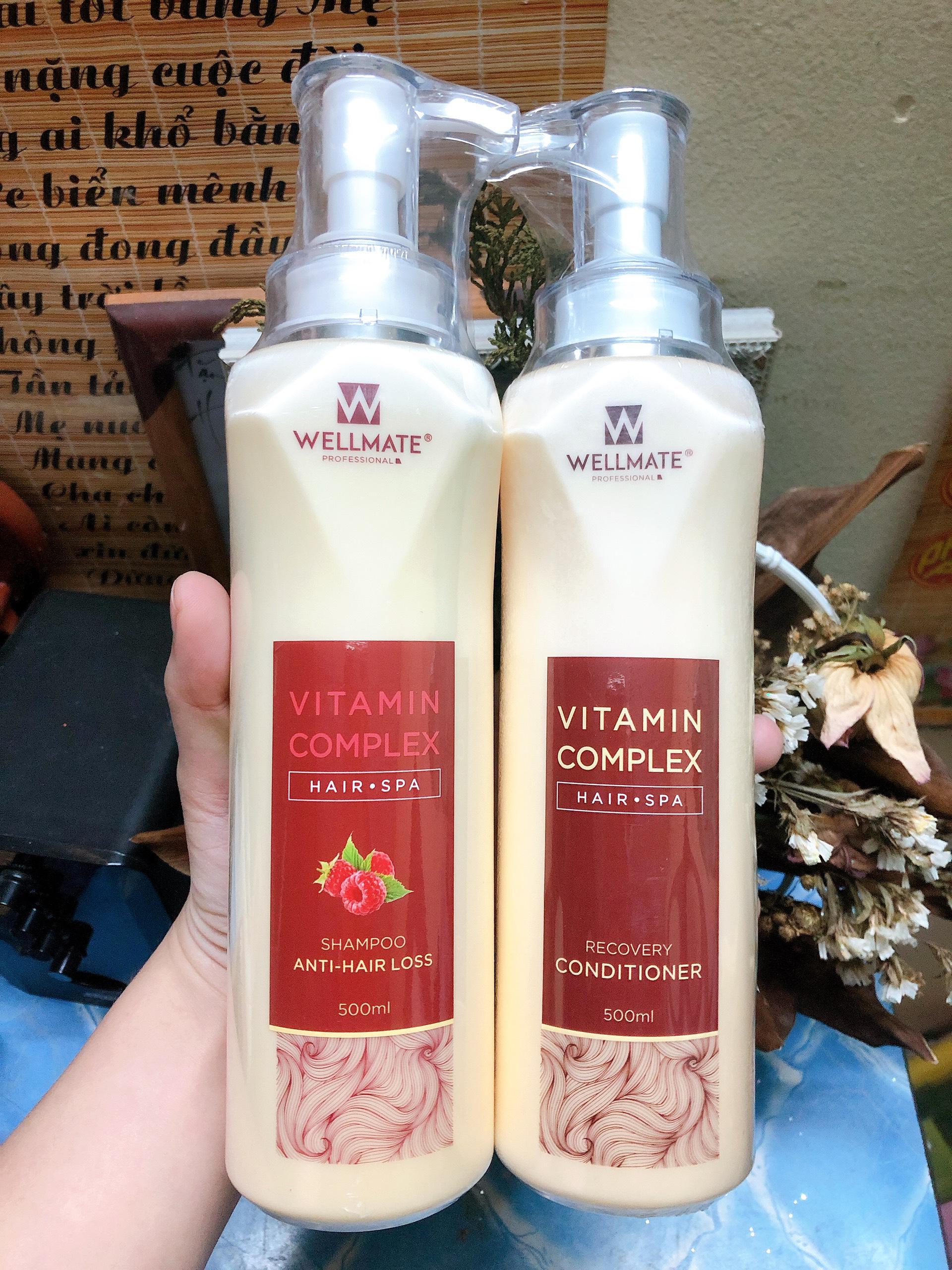 [HCM]Combo dầu gội xả chống rụng phục hồi WELLMATE 500ml