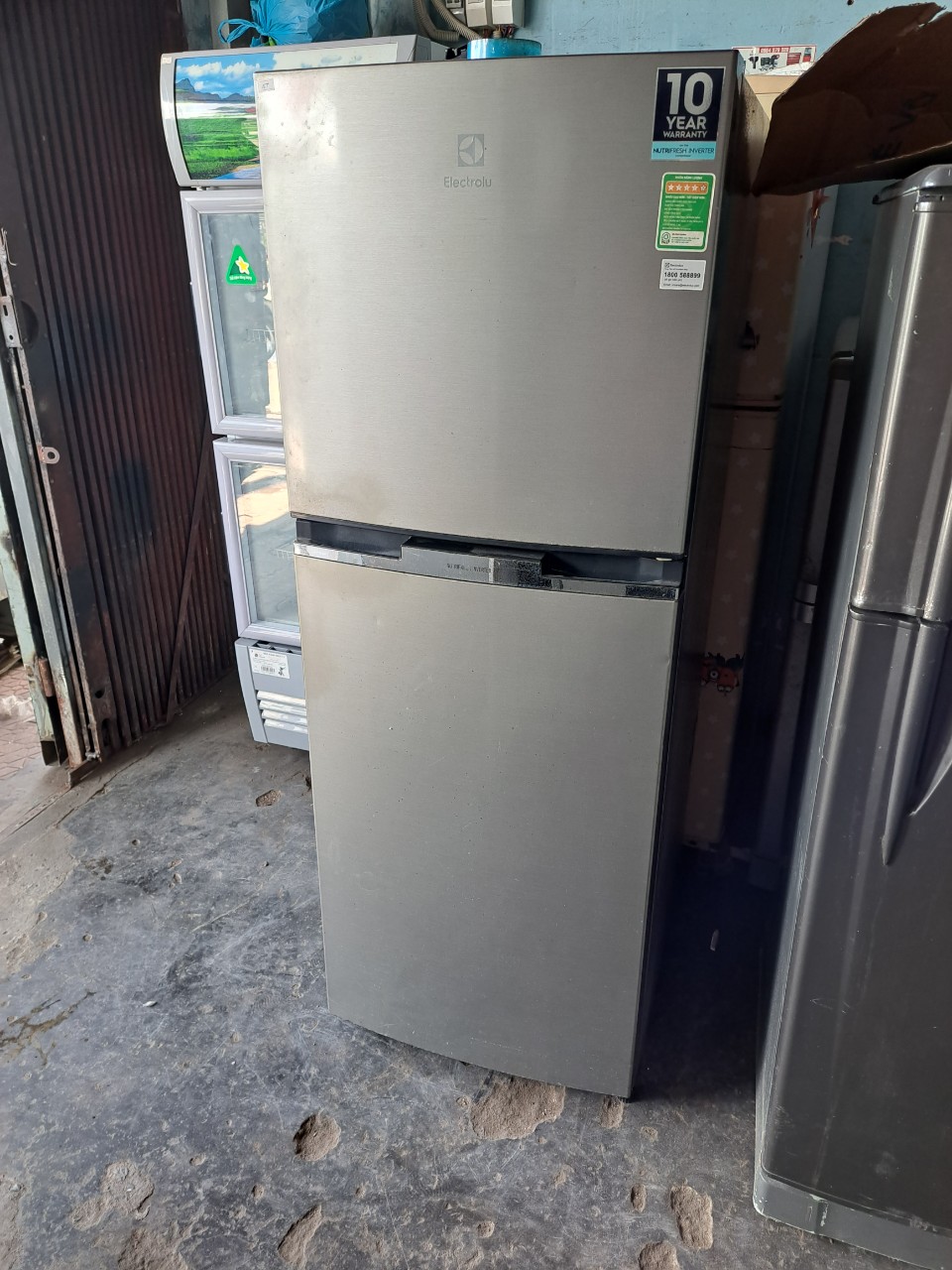 Tủ lạnh Electrolux 225 lít ETB2300MG - Mua Sắm Điện Máy Giá Rẻ Tại Điện Máy  Online 365