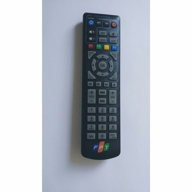 [HCM]Remote FPT