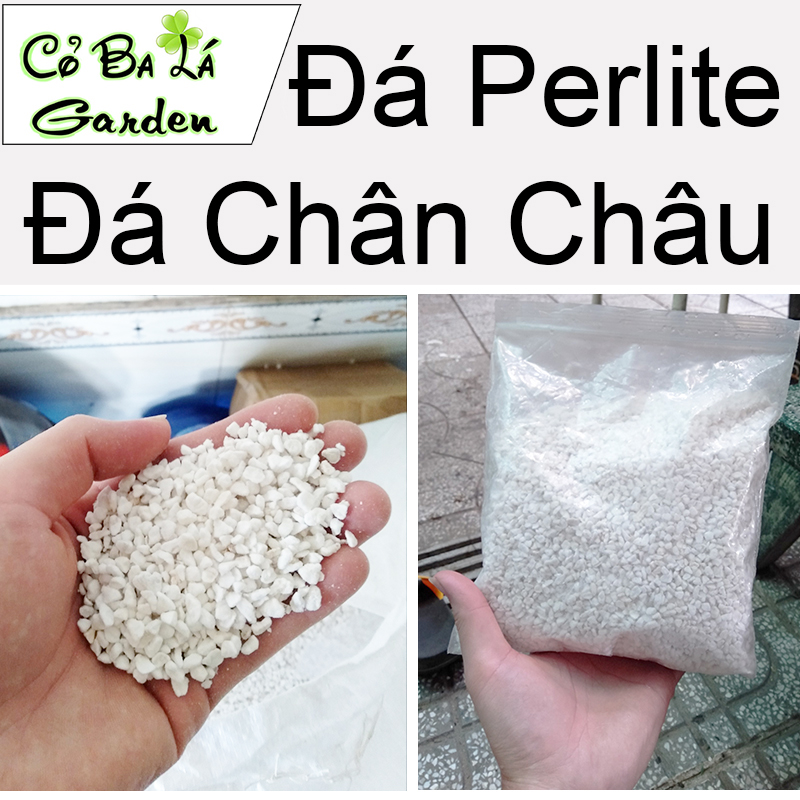 Đá Perlite-Đá Trân Châu (200gr) trồng sen đá và xương rồng