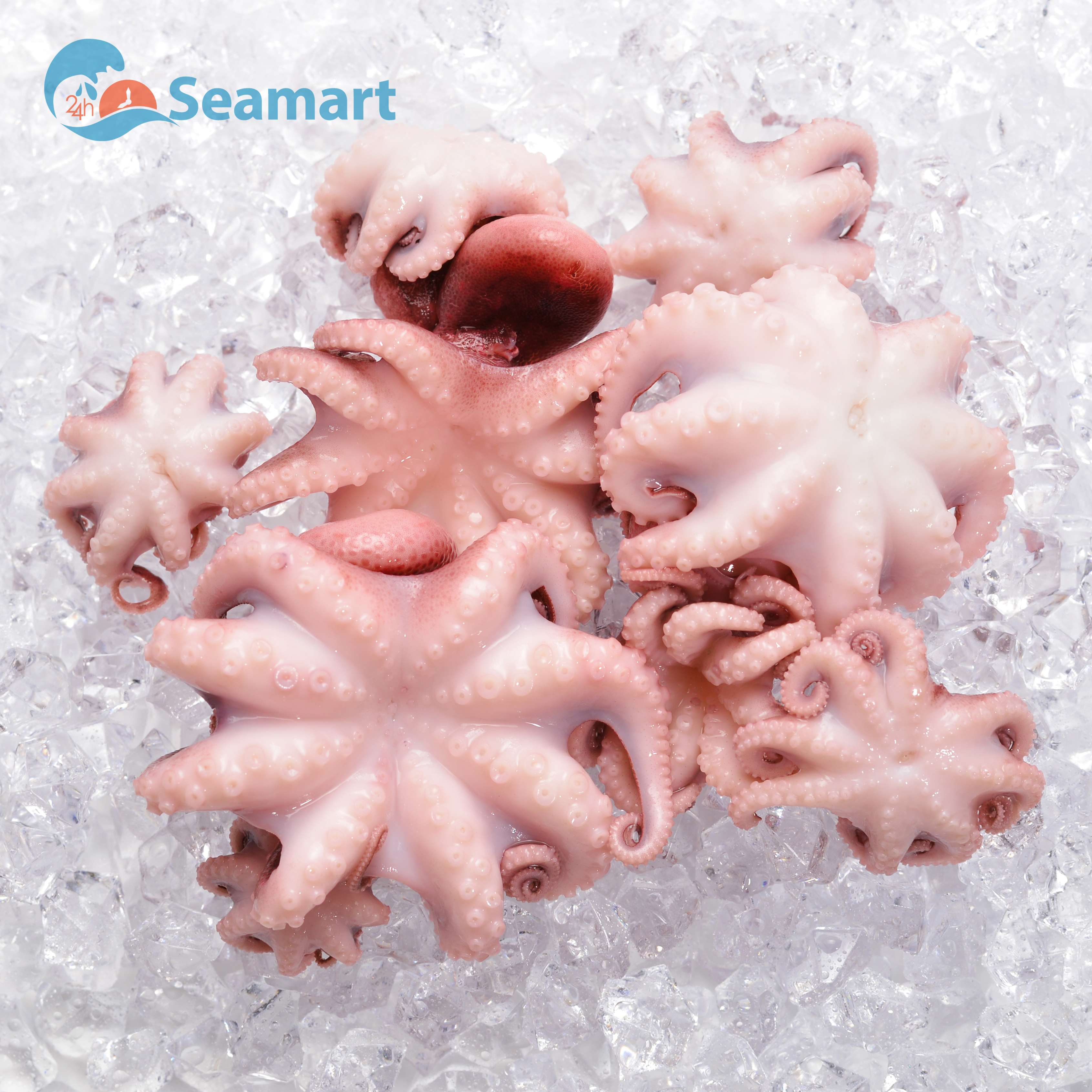 [Chỉ Giao HCM] Bạch Tuộc Seamart - 1KG