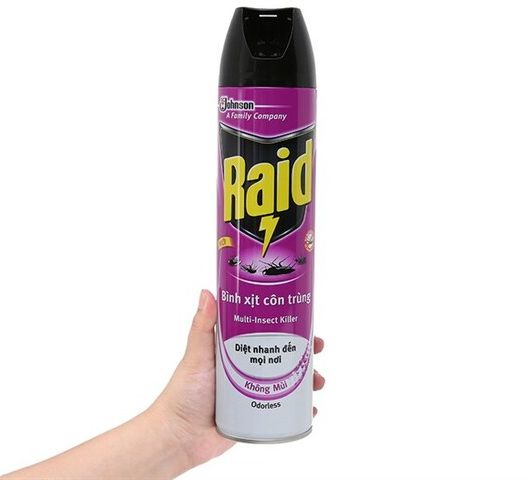 Bình xịt côn trùng Raid 600ml - Hương Cam & Chanh