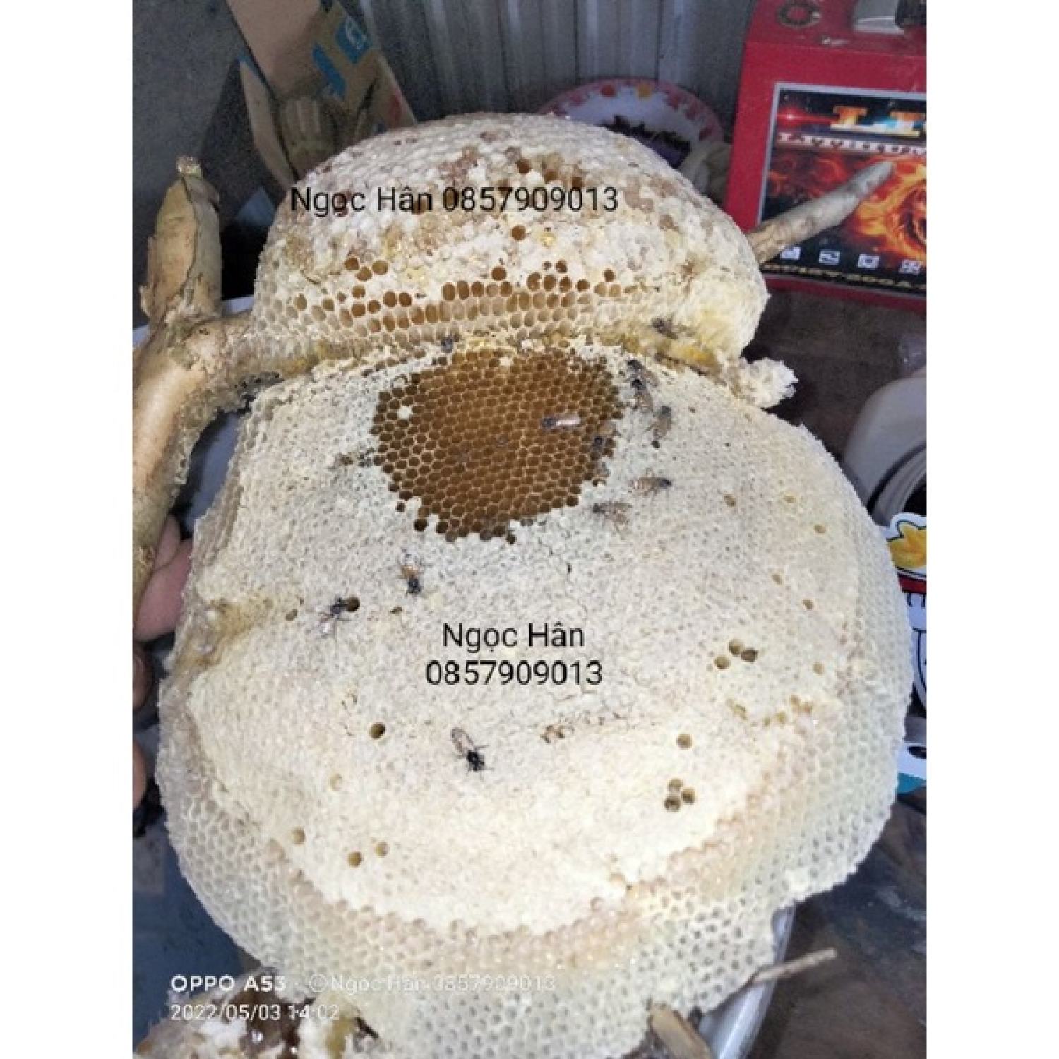Mật ong ruồi nguyên chất