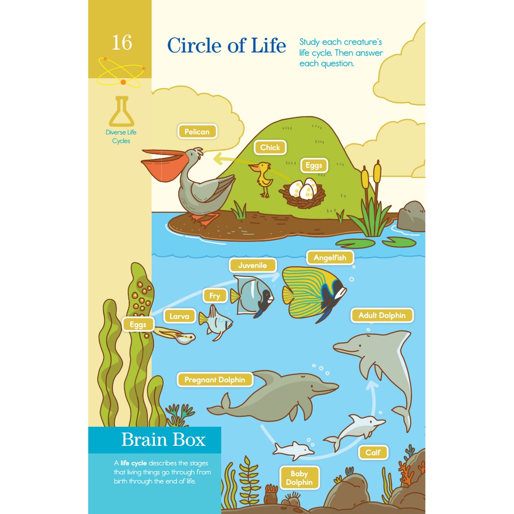 Sách : Tham Khảo Cấp 1 - Summer Brain Quest ( 5 -12 Tuổi )