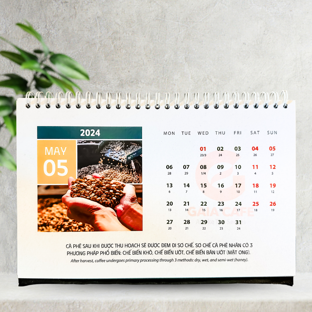 LỊCH ĐỂ BÀN 2024 GIÁP THÌN - GAIA CAFÉ