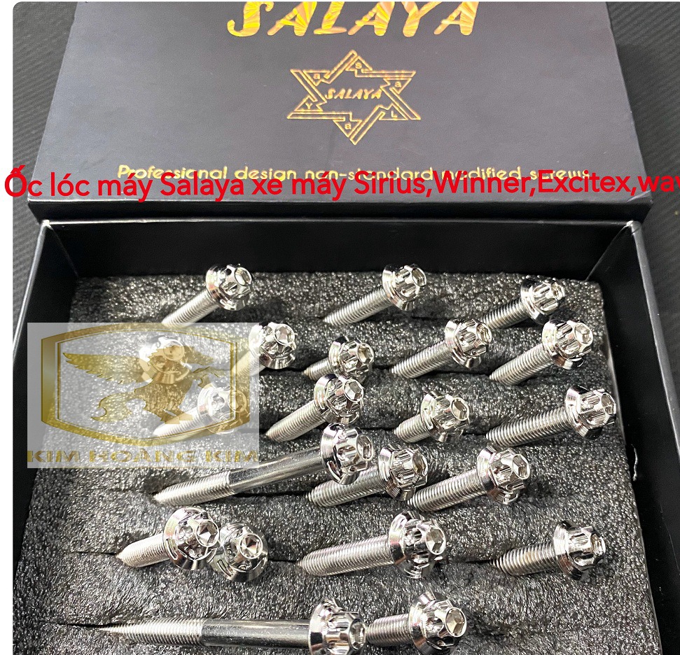Bộ ốc lốc máy Salaya Inox 304 gắn lốc xe máy Wave A110, Blade,S110,Rsx110 hàng chất lượng siêu rẻ