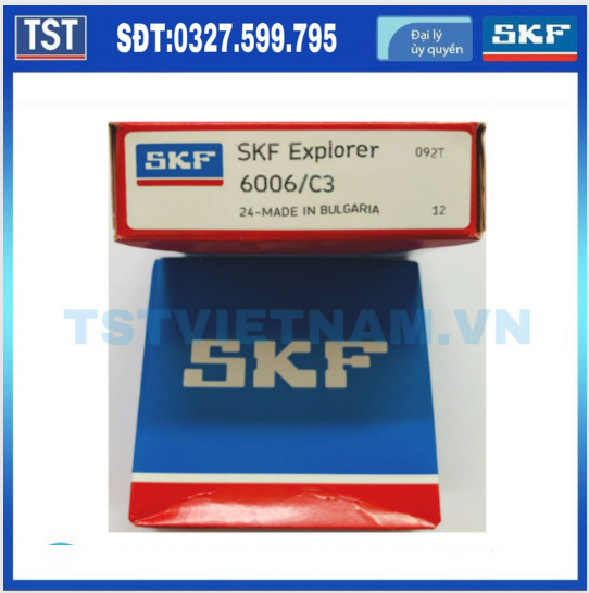 Vòng bi bạc đạn skf 6006/c3