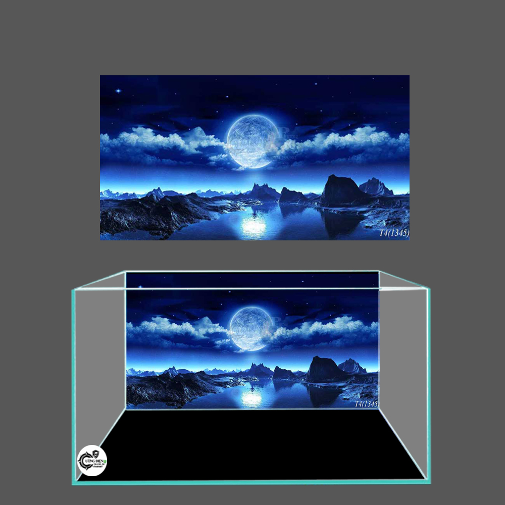 tranh 3d bể cá-1345
