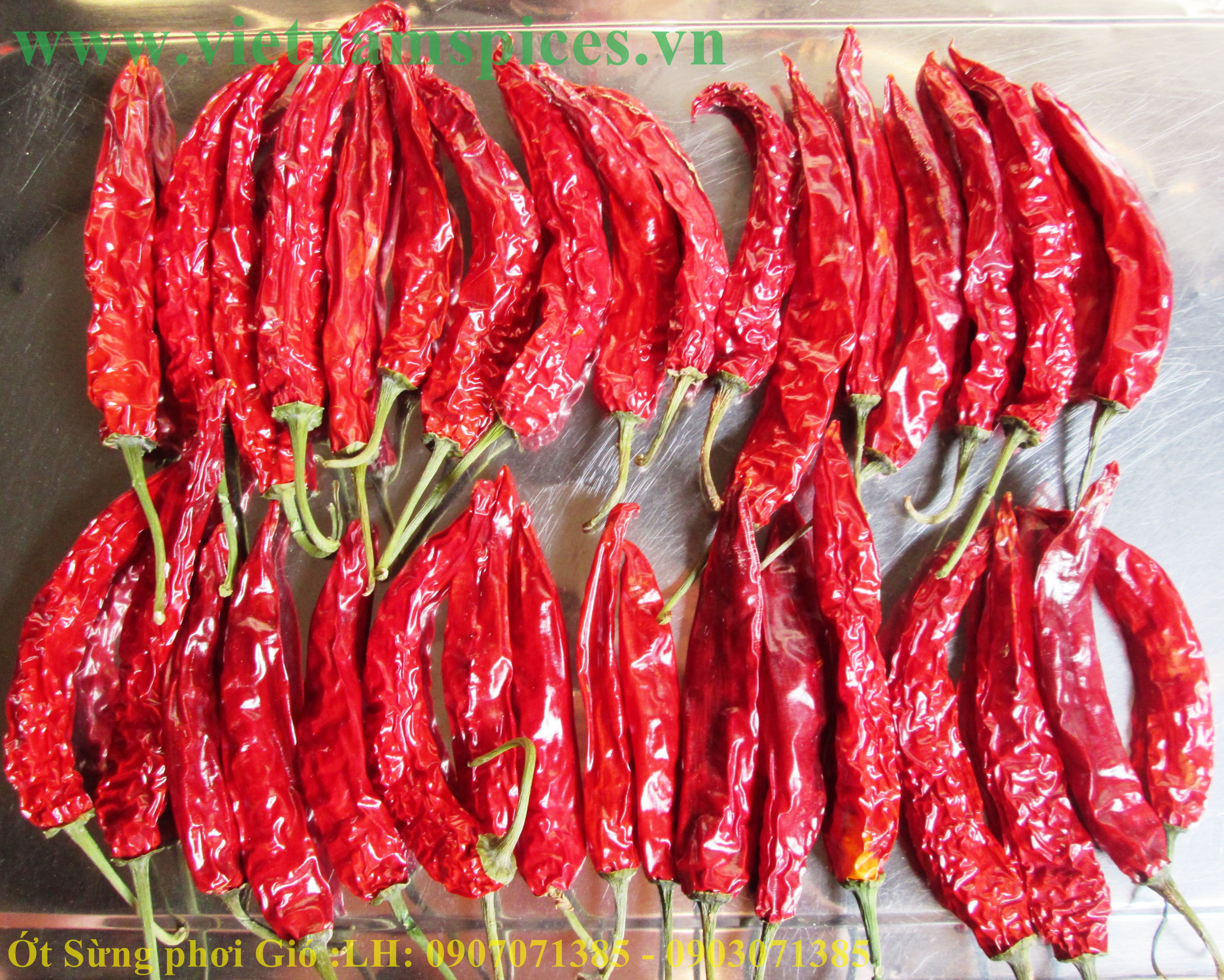 Ớt Sừng trái  Phơi Khô Cao Cấp 100gram