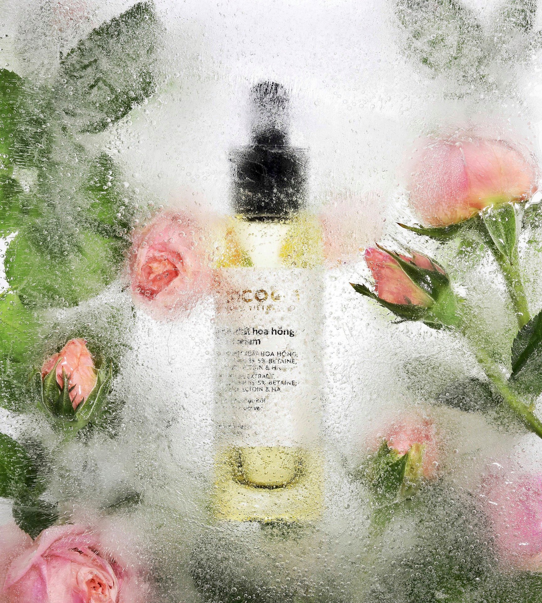 Tinh chất hoa hồng cocoon 30ml serum dưỡng da