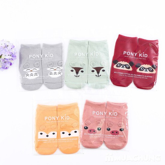 Sét 5 Đôi Tất PONY KID