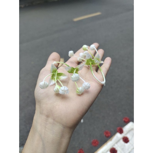 100gr cỏ điểm hoa các loại đã nhặt sạch cọng dư