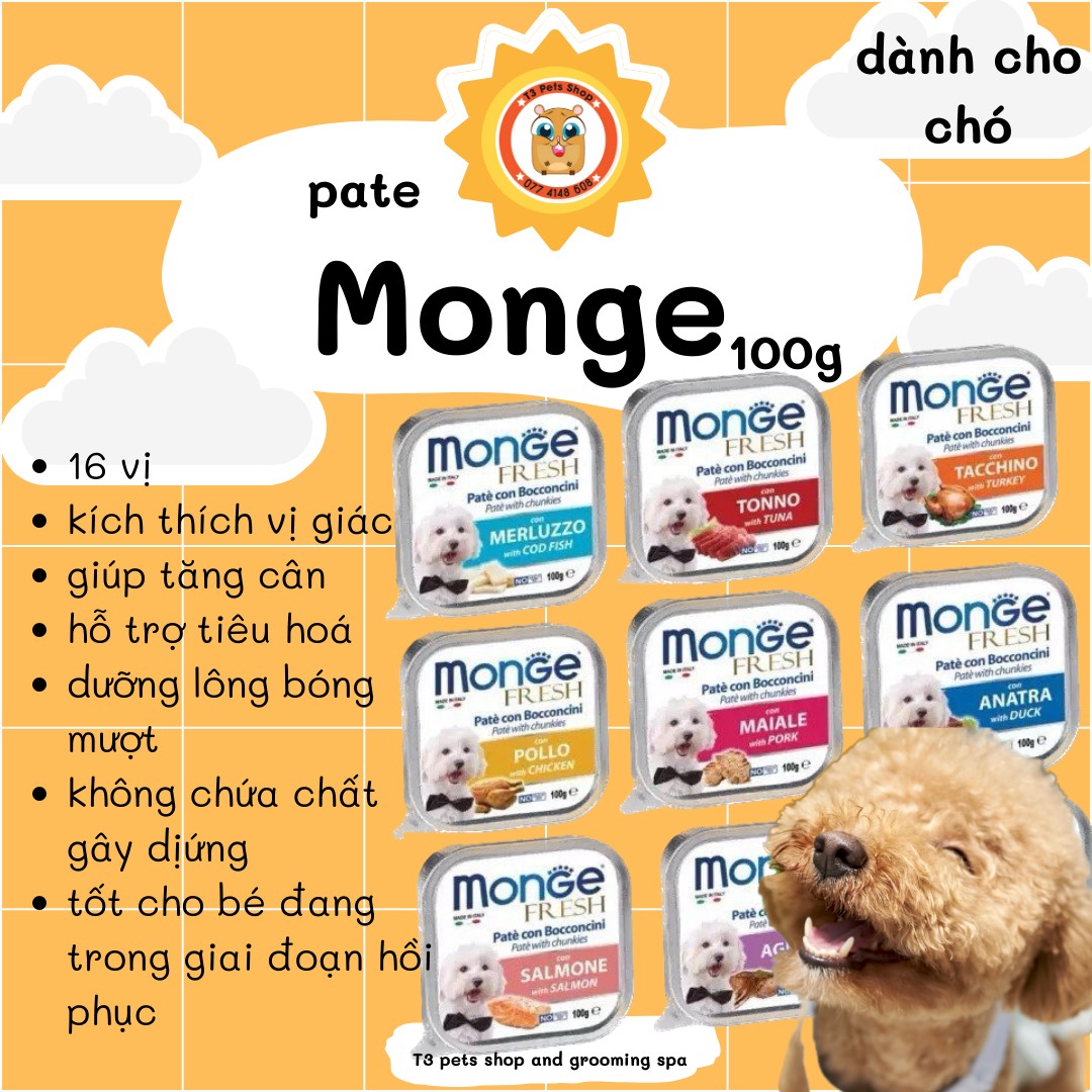 Pate Monge 100gr dành cho chó con, chó trưởng thành - T3 PETS SHOP