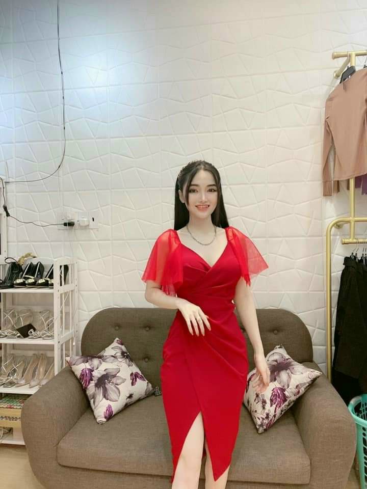 Đầm cổ V tay lưới-QH#damnu