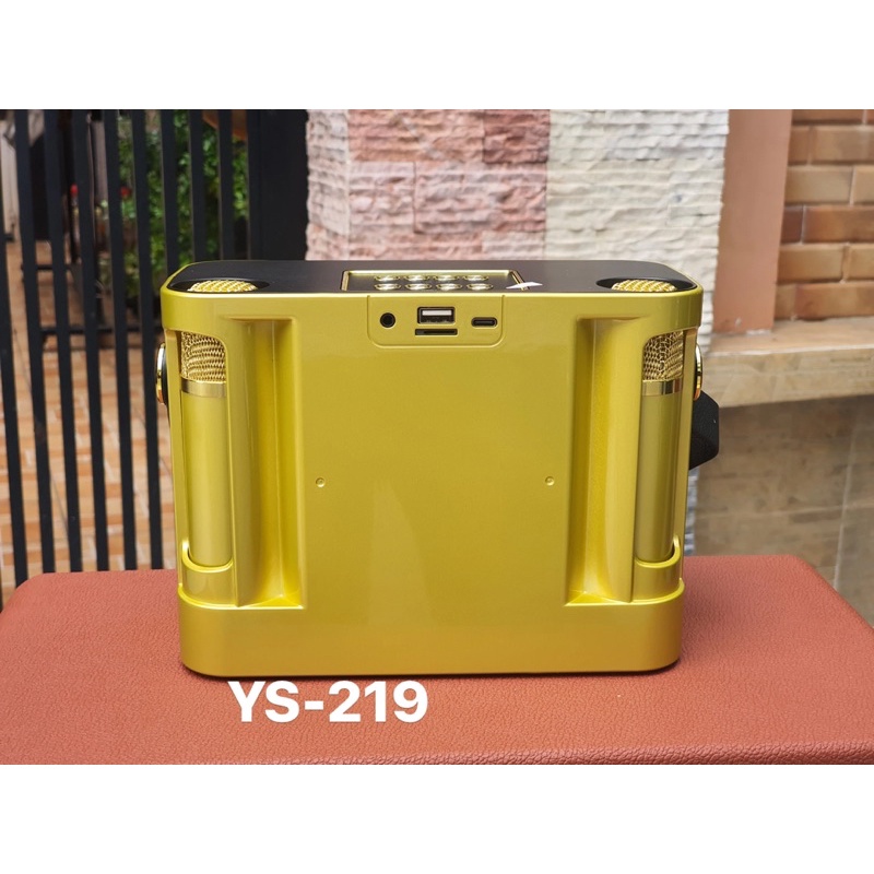 Loa Bluetooth YS-219 kèm 2 micro karaoke công suất 20 W
