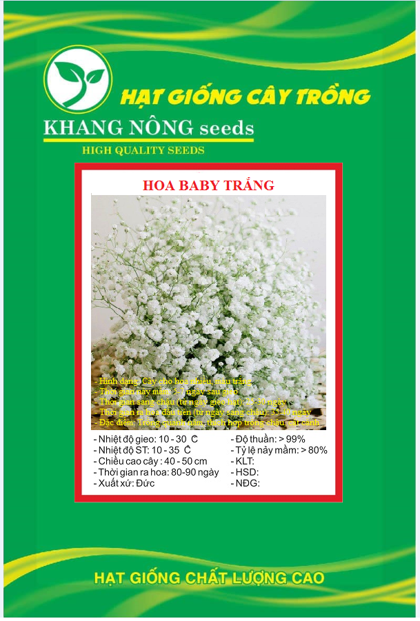 Hạt Giống Hoa Baby Trắng - Gói 50 hạt