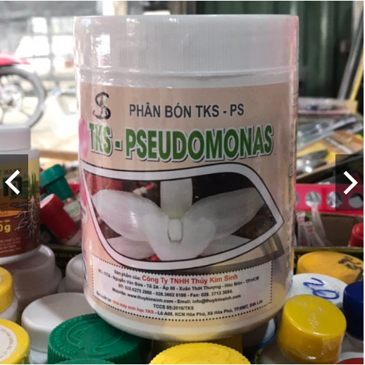 [LON 1Kg] PSEUDOMONAS HOA LAN - Thủy Kim Sinh