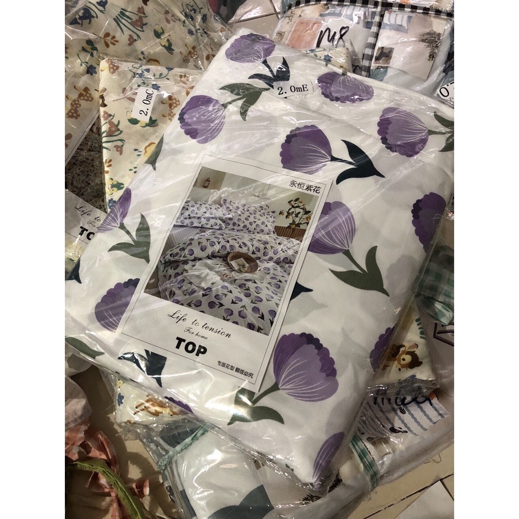 Chăn ga gối Cotton 3D - Mẫu hoa tuylip tím