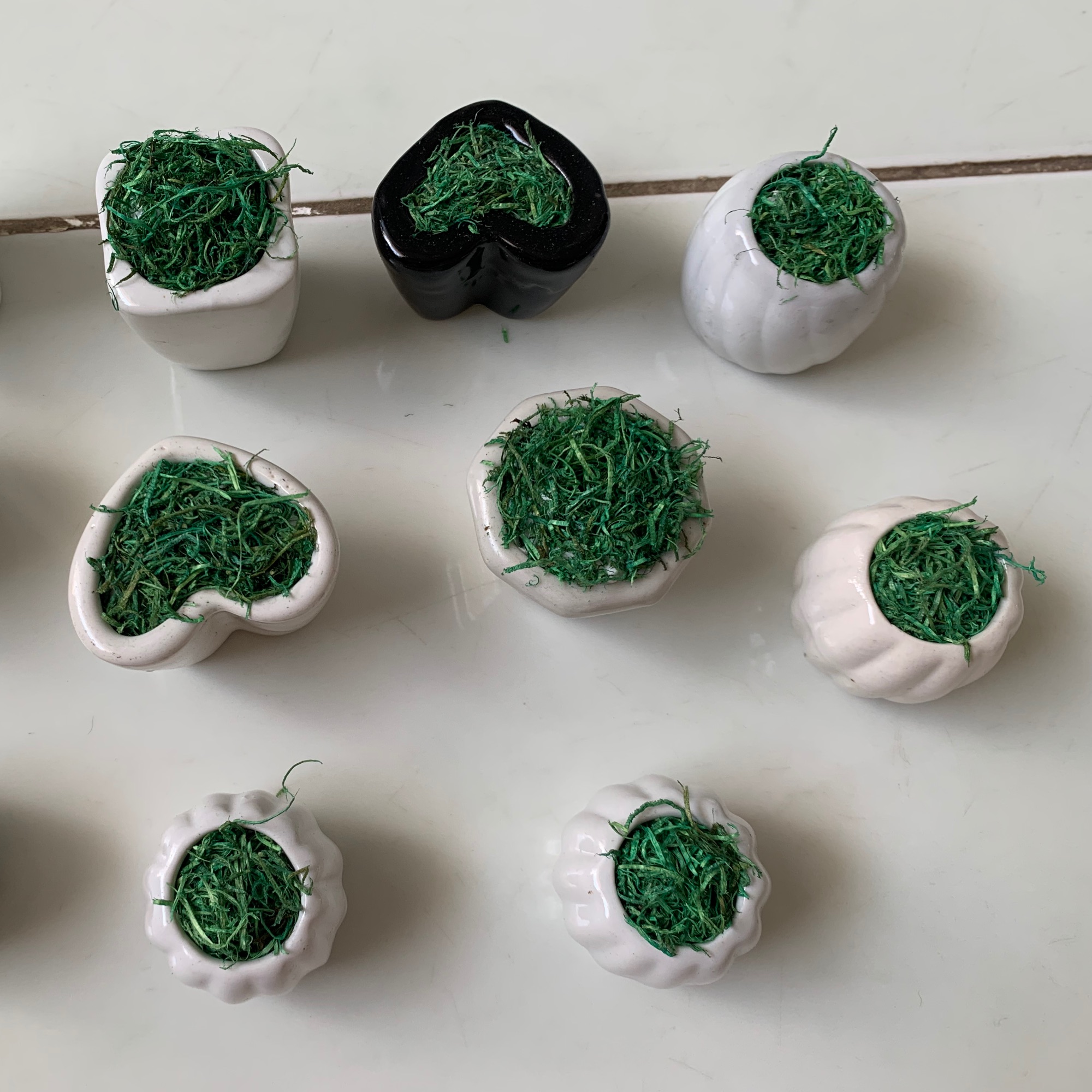 Chậu hoa bằng sứ mini